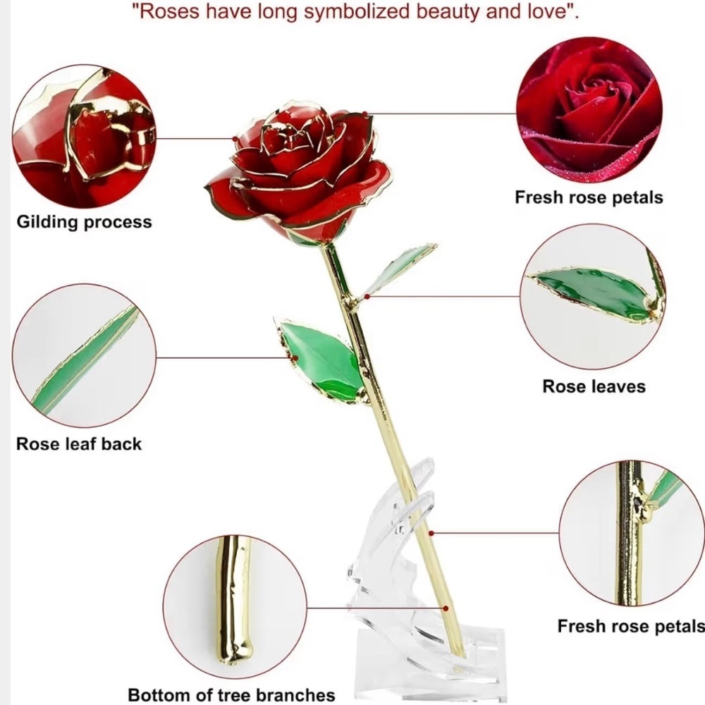 24K Gold Dipp Rose🌹 - Picture 10 of 11